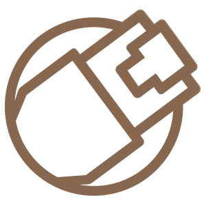Copper colored icon representing ethernet