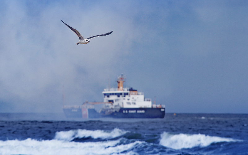 U.S. Coast Guard ship at sea with seagull in foreground
