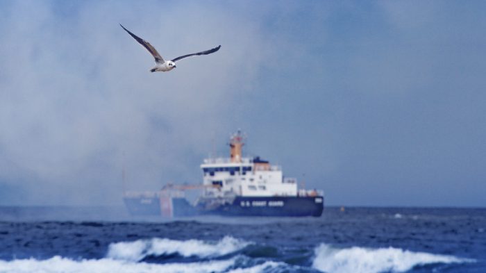 U.S. Coast Guard ship at sea with seagull in foreground